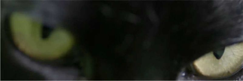 Sampaio (Marcello Novaes) persegue León até os arredores da cidade, na novela 'O Sétimo Guardião'