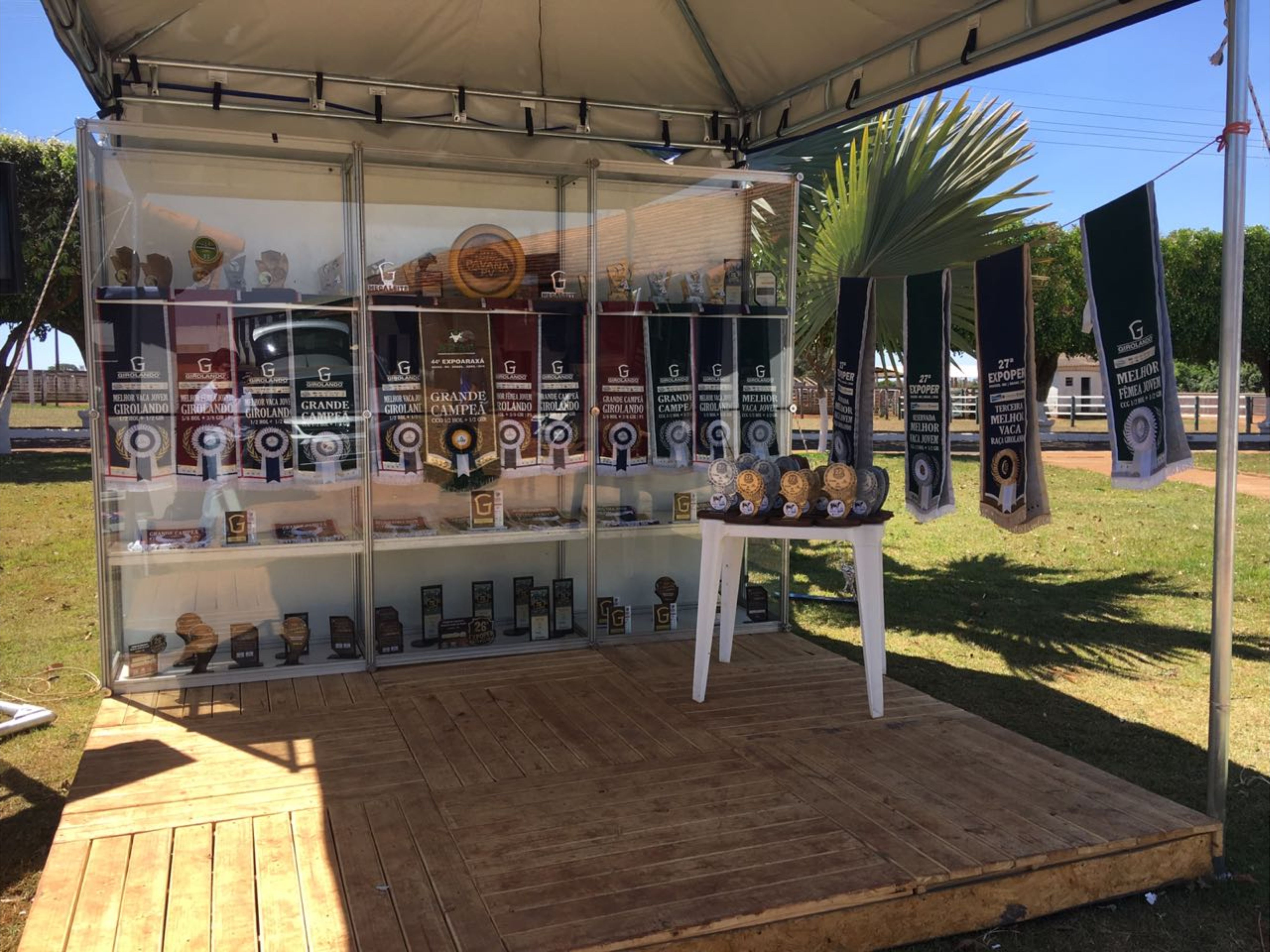 stand Pavana.