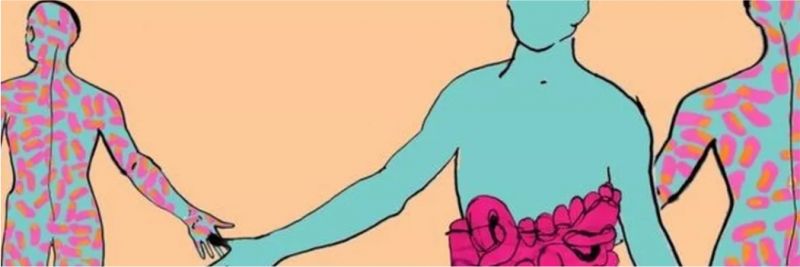 A maior parte dos nossos microbiomas vivem no intestino — Foto: BBC