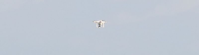 Com drone e sem o grupo completo, Tite comanda seu primeiro treino na Granja